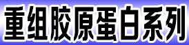 ʡ__tˎ޹˾